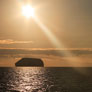 Marchena Island