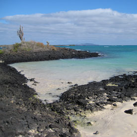 Garrapatero Beach in Galápagos