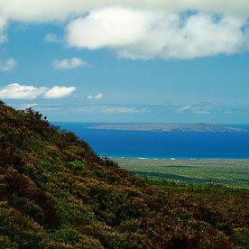Media Luna - Santa Cruz Island