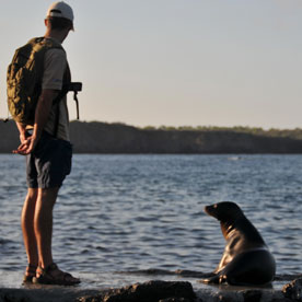 Puerto Egas - Santiago Island