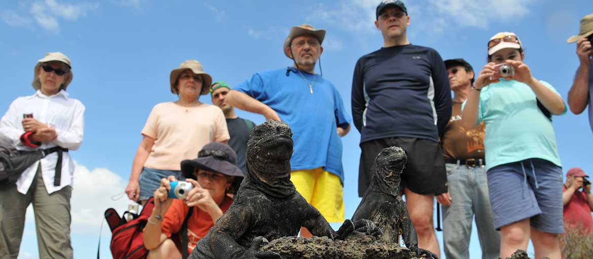 Touring-Galapagos-on-an-8-day-7-night-Cruise-pano-n galapagos travelers and iguanas
